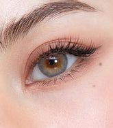 Olens French Shine Gray 日拋美瞳隱形眼鏡(20片)